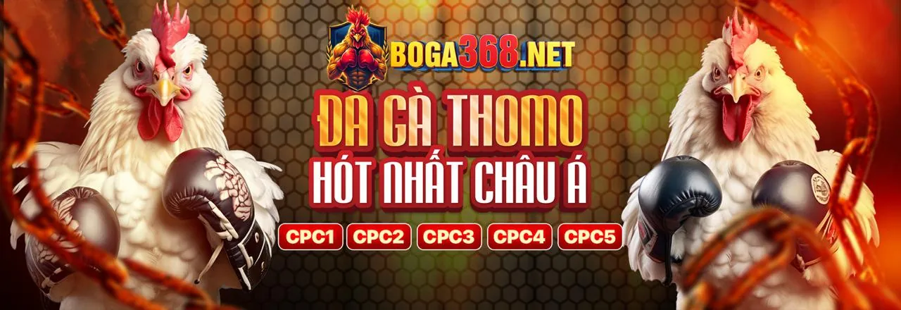 Phương thức thanh toán an toàn tại 222vip