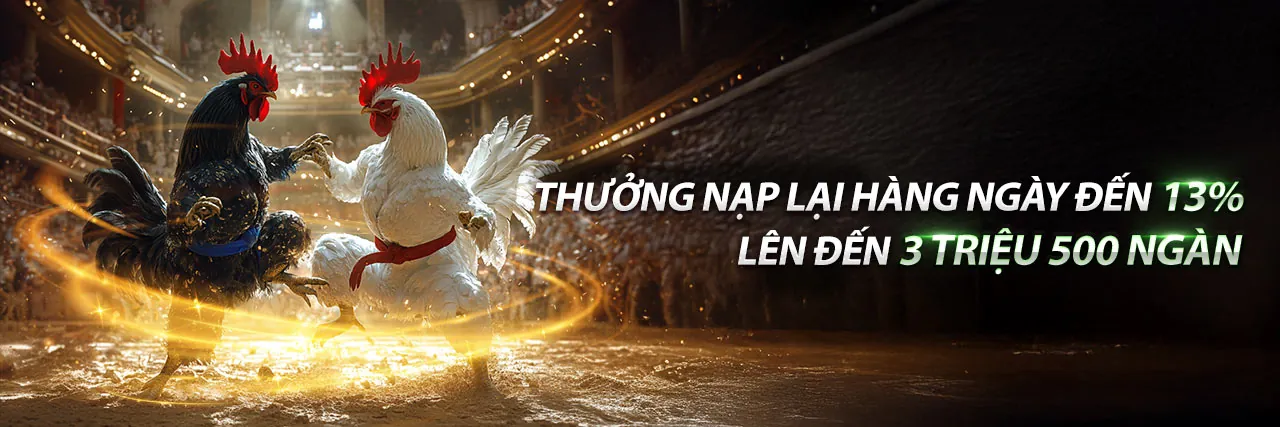 Nền tảng cá cược thể thao 222vip sôi động